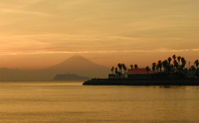 【小坪マリーナ】ボートレンタル・ライセンス・陸置保管料・店内ご利用割引チケットＢ