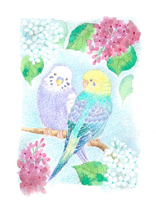 フレーム入り版画「インコとお花」　絵本作家おまたたかこジークレー版画