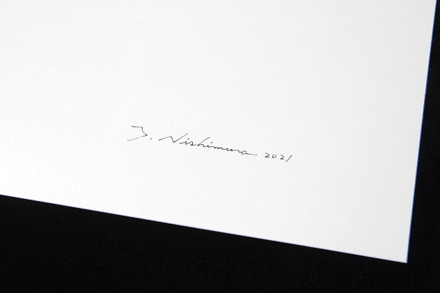 zushi art gallery西村陽一郎写真作品「貝殻」（スキャングラム）