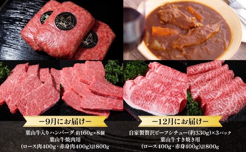 全4回定期便 冨士屋牛肉店 葉山牛 四季のプレミアムセットB 黒毛和牛 和牛 牛 牛肉 赤身 セット 詰め合わせ 焼き肉 焼肉 BBQ スライス 塩麹 ステーキ ビーフシチュー ハンバーグ ローストビーフ お取り寄せグルメ 送料無料 神奈川県 逗子市