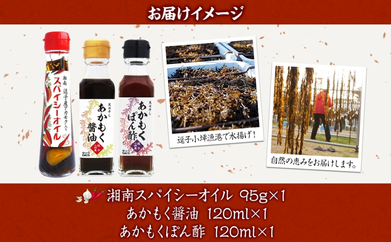 TAC21 逗子小坪産あかもく使用！湘南スパイシーオイル＆あかもく醤油＆あかもくぽん酢セット あかもく 海藻 減塩 爽やか 天日干し 朝獲れ 漁港 調味料 醤油 ポン酢 酢 香辛料 にんにく エキストラバージンオリーブオイル 香り 神奈川県 逗子市