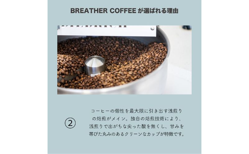 BREATHER COFFEE 珈琲飲み比べセット100g x 3袋 挽き方選択可 コーヒー 豆 極細引き エスプレッソ用 中粗挽き ペーパードリップ用 スペシャリティコーヒー（お豆のまま）