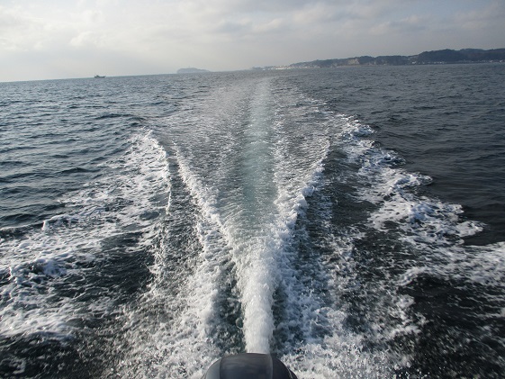 【小坪マリーナ】ボートレンタル・ライセンス・陸置保管料・店内ご利用割引チケットＡ