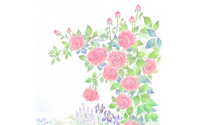 絵本作家おまたたかこ　ジークレー版画「Rose Garden Forever」