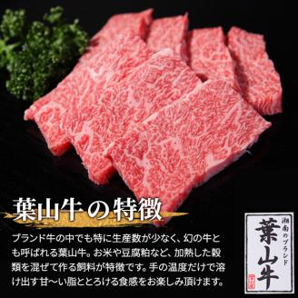 カルビ 焼肉 冨士屋牛肉店 最高級黒毛和牛と葉山牛の特上味付きカルビ 500g 黒毛和牛 牛肉
