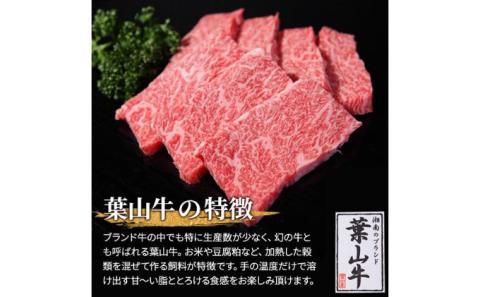 牛肉 冨士屋牛肉店がお届けする 葉山牛 黒毛和牛 しゃぶしゃぶ 500g