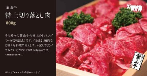 カタログギフト 冨士屋牛肉店 葉山牛 選べる！贈れる！特選牛肉 カタログ ギフト 牛肉 和牛