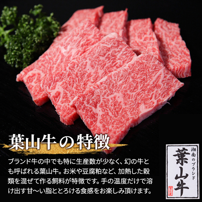 葉山牛 究極 ローストビーフ 500g 冨士屋牛肉店 お中元 ギフ