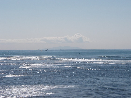 【小坪マリーナ】ボートレンタル・ライセンス・陸置保管料・店内ご利用割引チケットＣ