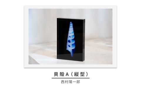 zushi art gallery西村陽一郎写真作品　アクリルブロック「貝殻A（縦型）」