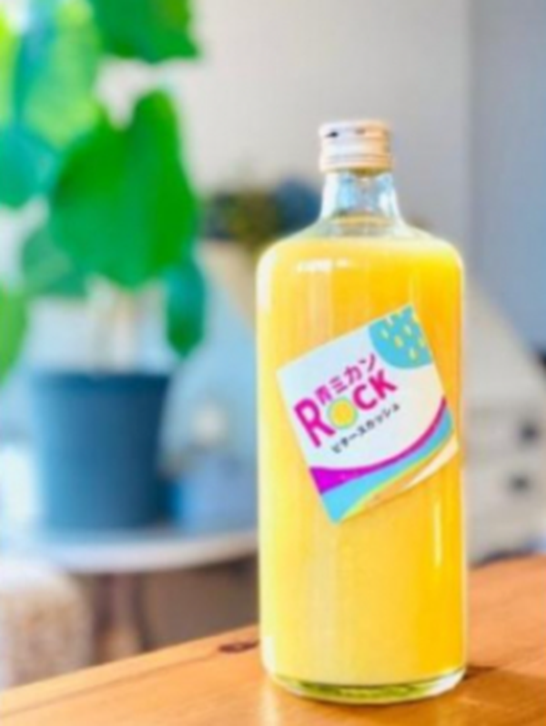  神奈川SDG's　青ミカンROCKビタースカッシュ　６本セット