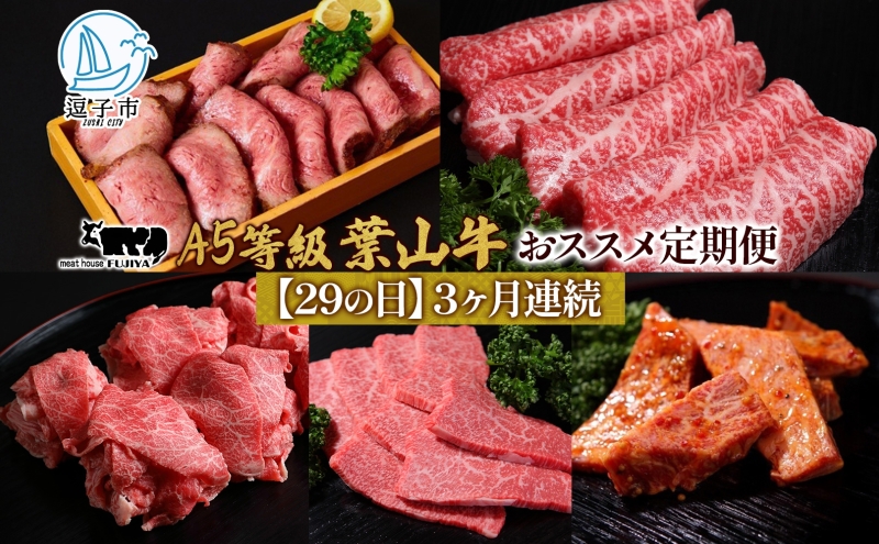 【29の日定期便】3ヶ月連続 葉山牛 定期便 カタログ ギフト カルビ切り落し ジューシー 黒毛和牛 霜降り 赤身 肉 焼く 家族 贈り物 受賞 うし 和牛 冷凍 良質 冷凍便 送料無料 冨士屋牛肉店 神奈川県 逗子市