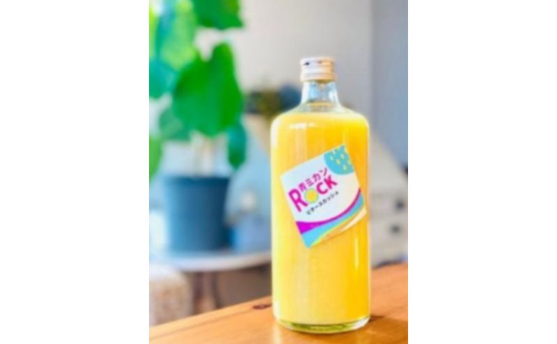 神奈川SDG's 青ミカンROCKビタースカッシュ3本＆青ミカンハーブティセット みかん 青ミカン ミカン スカッシュ ハーブティ セット ジュース ハチミツ漬け ビター SDG's 逗子市 神奈川県