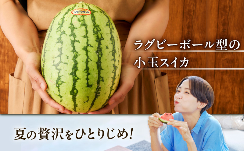 マダーボールスイカ　M001-002