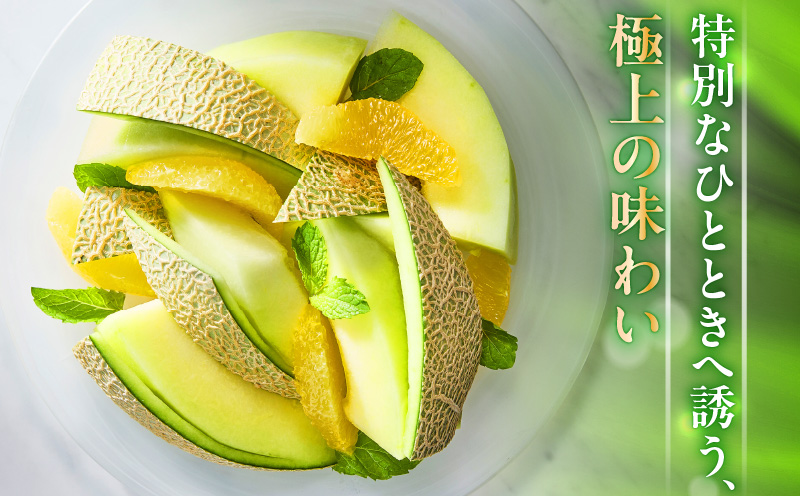 贈答用メロン ボリュームセット　M001-006