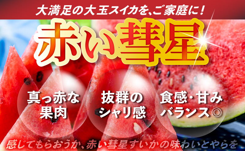 有機肥料で育てた大玉スイカ【赤い彗星】（1個入り）　M002-007