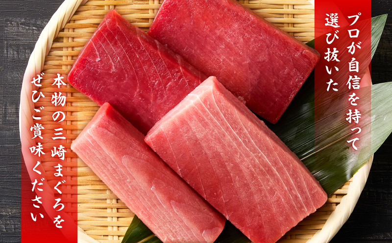 本物の味をお届け！厳選！天然三崎まぐろ＜希少部位＞背トロ＆中トロ・赤身　M005-039
