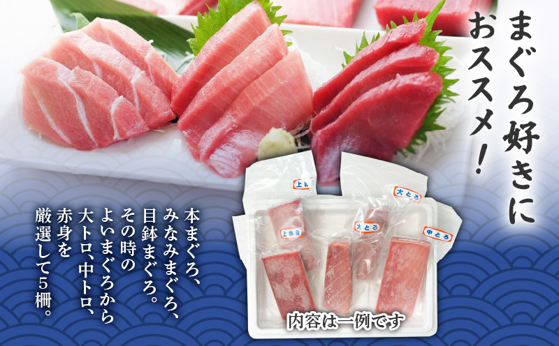 三崎のまぐろ＋食べ比べセット　M006-010