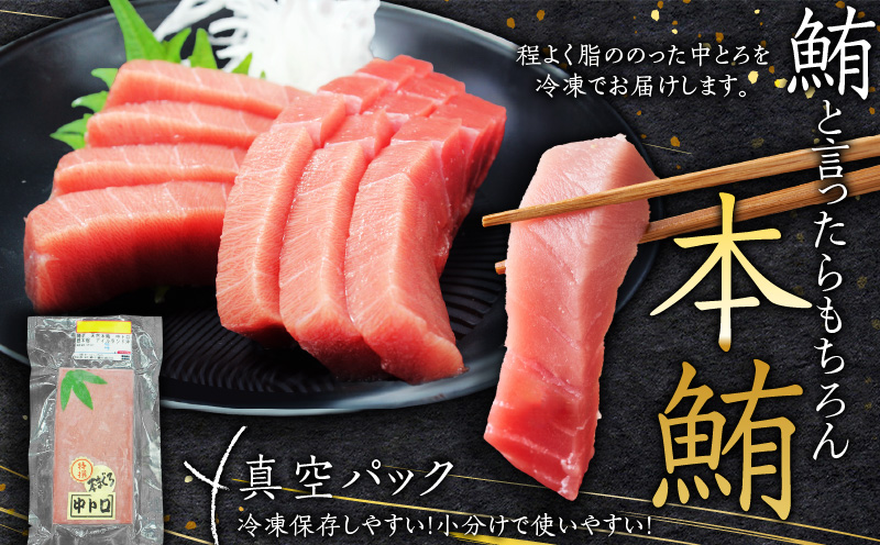 天然本鮪中とろ2柵　M007-006-01