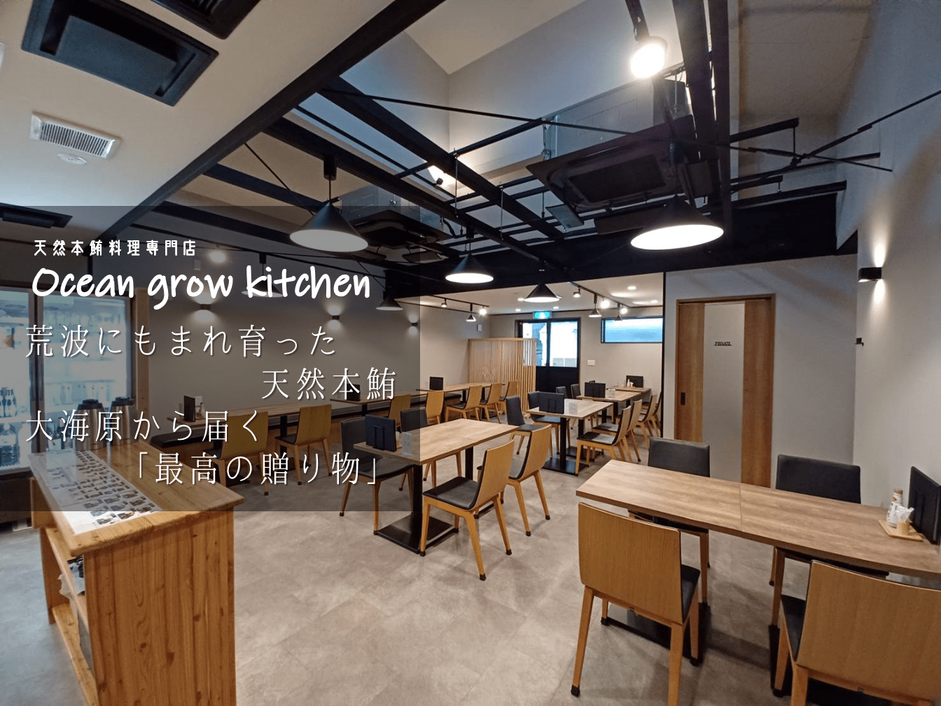 oceangrow kitchen お食事券（天然本鮪中トロ丼） 2名様分　M007-020-02