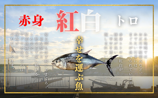 【年末・正月用/12月30日お届け】天然 目鉢まぐろ お祝い宴セット 中トロ200g 赤身200g 迎春 三崎まぐろ 三崎恵水産　M020-020-4