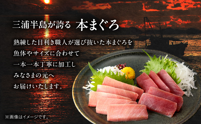 【高島屋バイヤーセレクション】天然本まぐろ詰合せ＜梅＞　M038-004