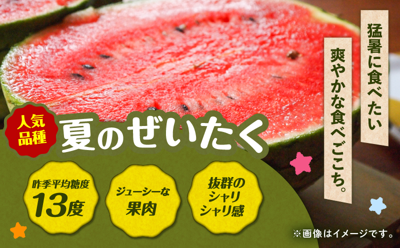 【高糖度】三浦の大玉スイカ2玉【露地栽培】　M072-001-02