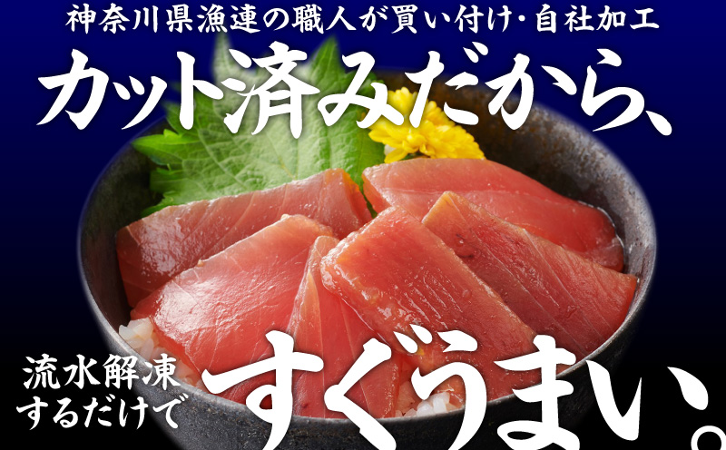 【神奈川県漁連】＜小分けパックで使いやすい＞切れてる天然マグロ 100g×10パック　M077-005