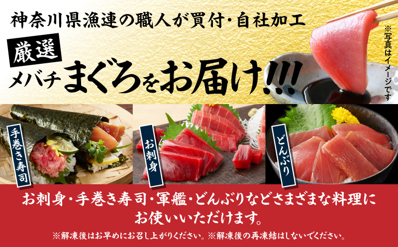 お正月用 メバチ鮪セット（神奈川県漁連）　M077-006-01