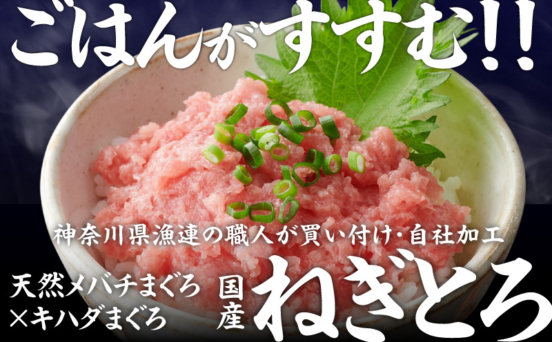 【神奈川県漁連】＜お徳用＞天然まぐろ ねぎとろ 500g　M077-011-01