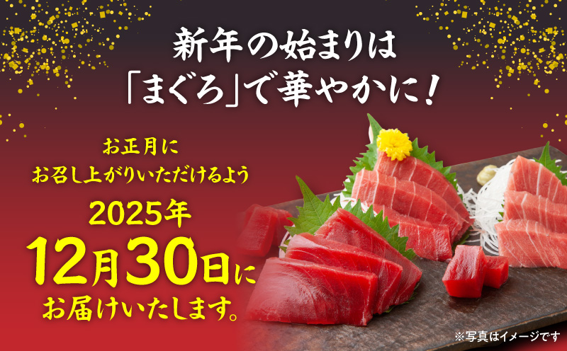 【年内発送】神奈川県漁連 天然本マグロ 中トロ柵【お正月用】　M077-013-02