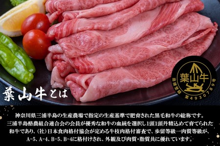 【神奈川県産黒毛和牛】三浦市の佐藤牧場が育てた葉山牛 肩ロースすき焼き肉4P　M079-007-02