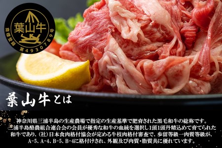 【神奈川県産黒毛和牛】三浦市の佐藤牧場が育てた葉山牛満腹セット（切落し＋肩ロース）　M079-009