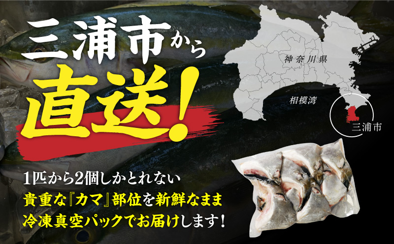 新鮮カンパチ カマ干物 約1kg　M079-012-03