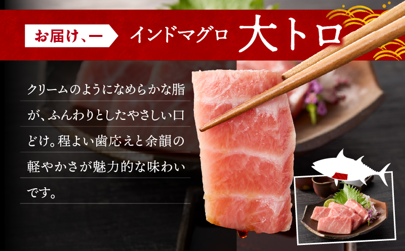 三崎マグロ 鈴木水産 天然インドマグロ（大トロ・中トロ・赤身）セット　M105-001