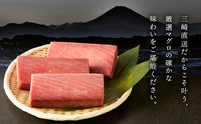 三崎マグロ 鈴木水産 天然マグロ（中トロ3柵）セット　M105-003