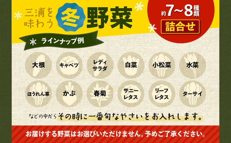 おいしさを全力に 三浦の野菜満杯セット（冬）　M109-002-01