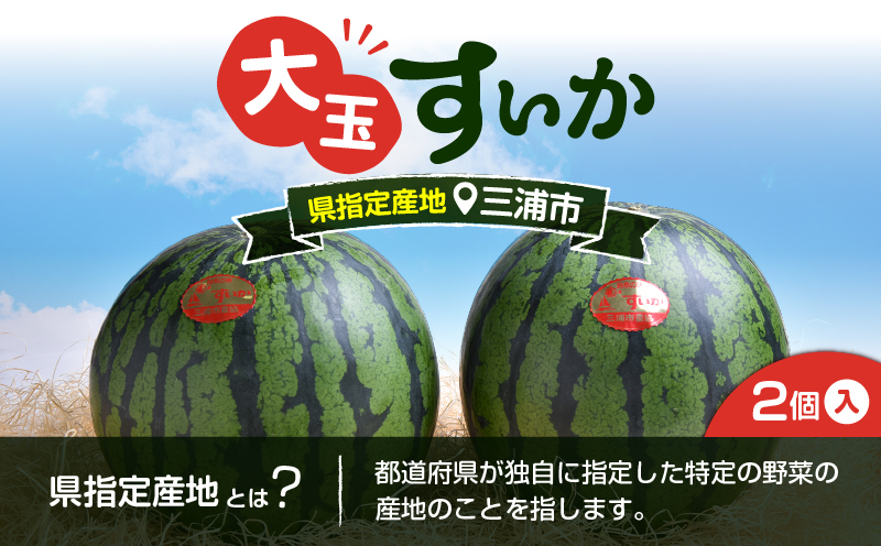神奈川県三浦市産大玉すいか（2個）　M109-007