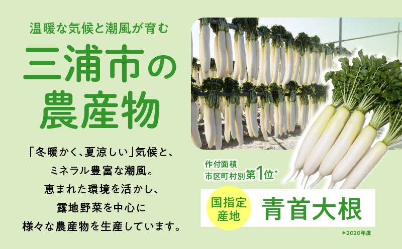神奈川県三浦市【返礼品なし】応援寄附 農業に関する事業を応援（1,000円）　MN-1000-1