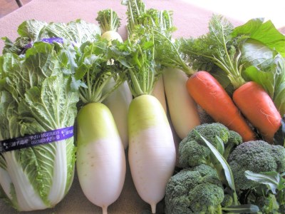 ボリューム満点！季節の野菜詰め合わせ（冬）　M001-004-02