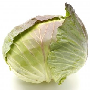 有機肥料で育てたキャベツと大根セット　M002-003