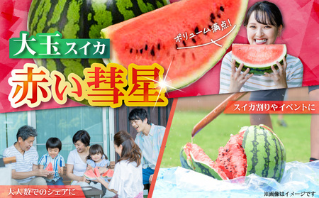 有機肥料で育てた大玉スイカ【赤い彗星】（2個入り）　M002-004