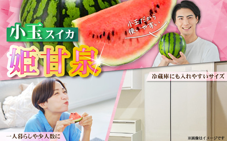 有機肥料で育てた小玉スイカ【姫甘泉】（2個入り）　M002-008