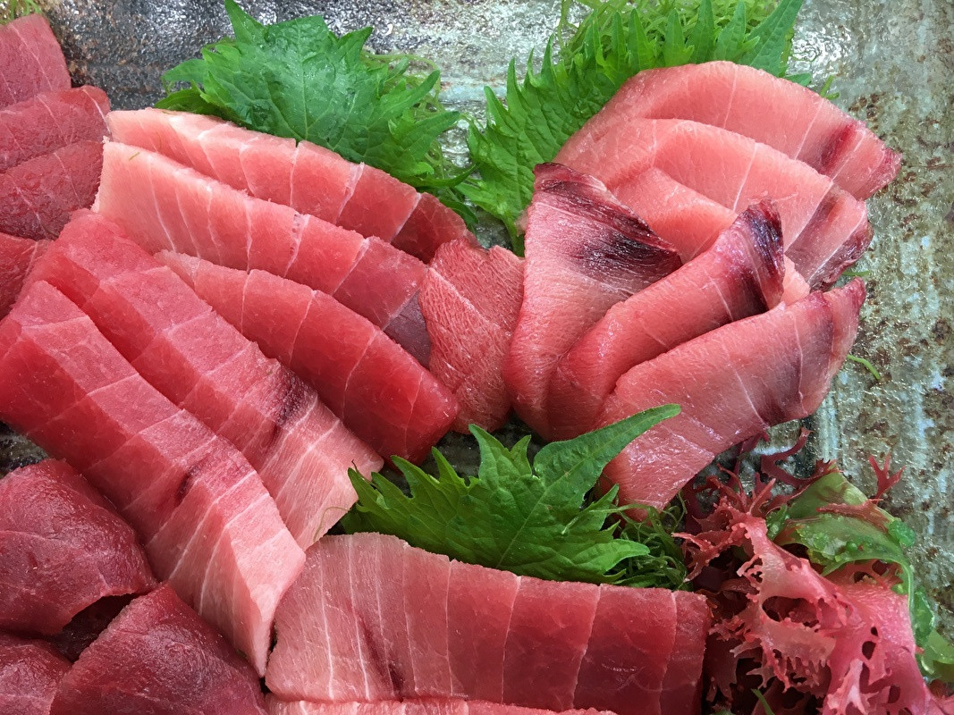 ＜訳あり＞三崎まぐろ中トロ・赤身お刺身セット合計500g　M005-011-01