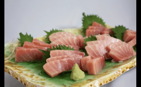 本物の味をお届け！厳選！天然三崎まぐろ大トロ・中トロ・赤身セット　M005-038