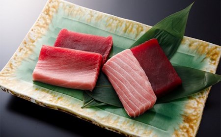 【全5回定期便】天然！三崎まぐろ大トロ・中トロ・赤身 お刺身　M005-T02