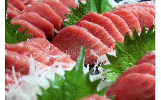 天然本鮪背トロ 切れてるお刺身簡単パック 100g×3パック【数量限定】　M007-001