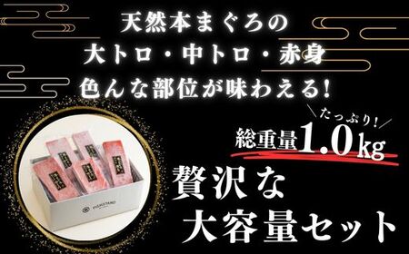 【至極の味わい】天然本まぐろ 1kg（大トロ200g、中トロ400g、赤身400g）　M020-025-01