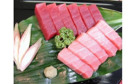 ワンランク上の天然目鉢鮪中とろ・赤身セット 750g　M024-003