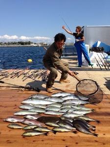 「海上釣り堀みうら海王」無料招待券　M028-001